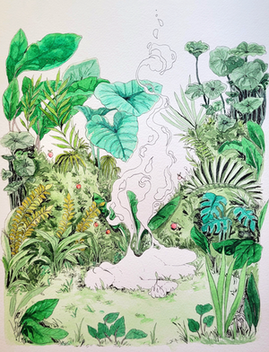Les Illustrations