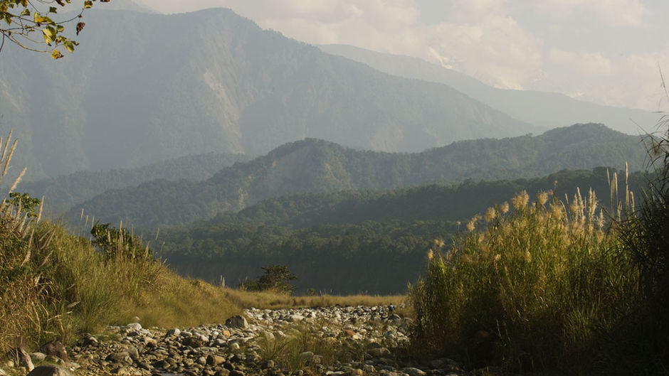 A large and effective protected area network in country is important to stabilise the impact of climate change