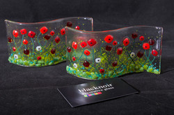 S Curved Glass Pictures