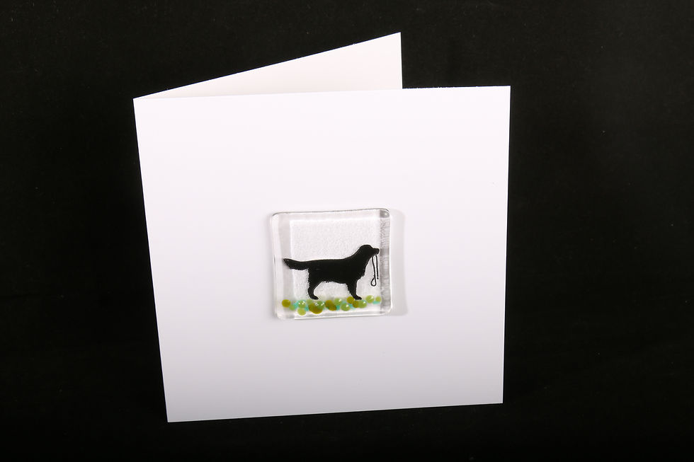 Take Me Out Please Dog Greeting Card Front View