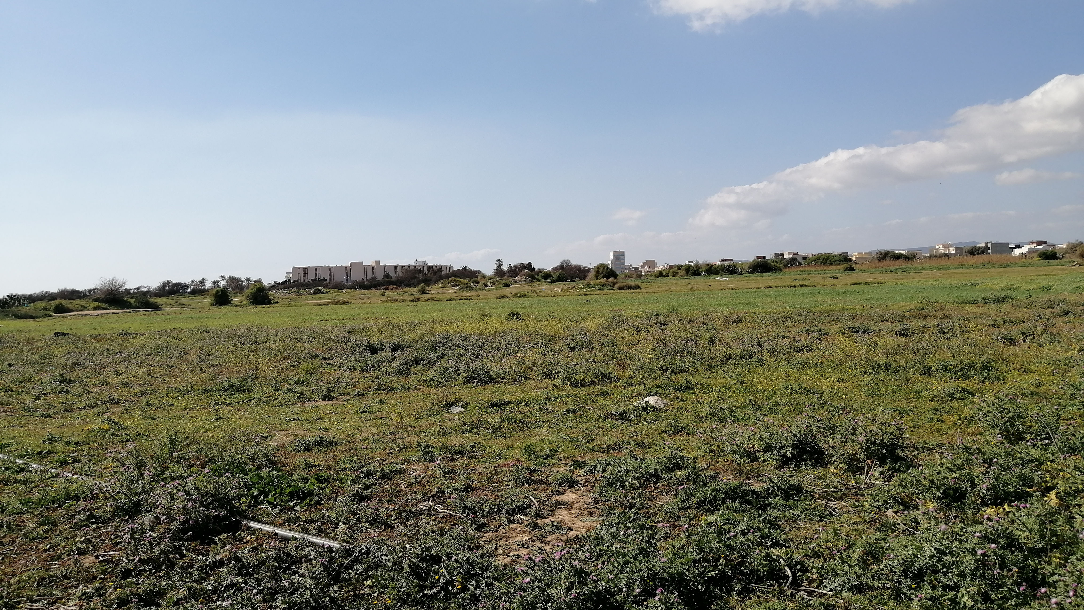 Réf: SOFI – V188020