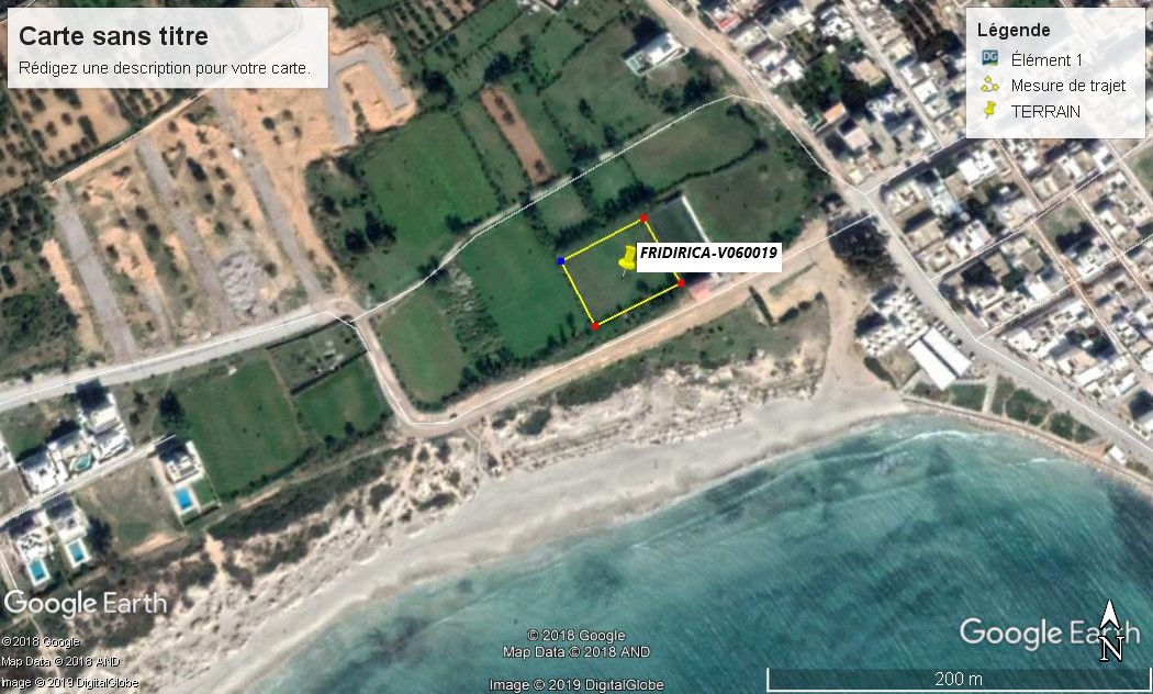 Réf : FRIDIRICA-V060019