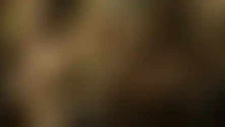 Chamados e revestidos de Cristo