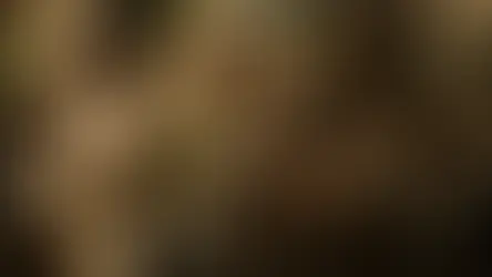 Chamados e revestidos de Cristo