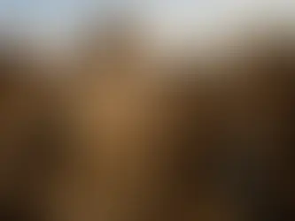 Tu és o Cristo, o Filho do Deus vivo