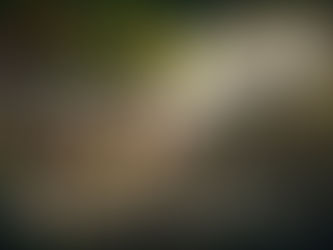 Discernindo os Verdadeiros Profetas