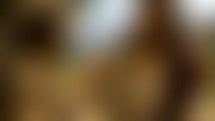 O céu aberto em Cristo