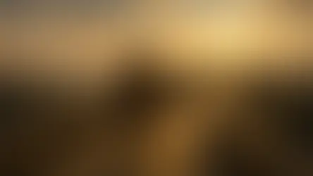 Coragem Nascida da Presença de Deus