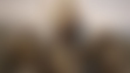 Ide e anunciai o Evangelho