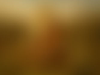 O Pão Multiplicado e a Graça que Transborda