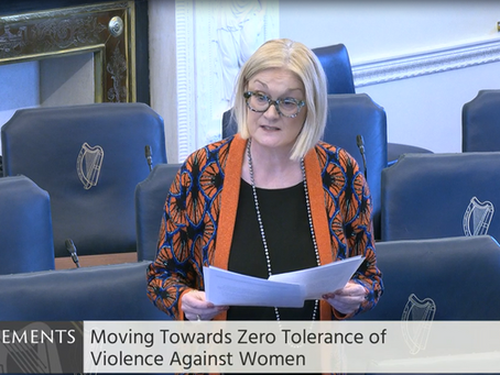Senator Sharon Keogan — Violence Against Women