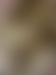 Meringue roulée à la cassonade et pommes au miel brûlé