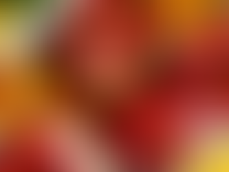 Poivrons farcis à la mozzarella, au thon et aux olives