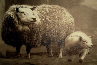 New poem featured in Literary Veganism
