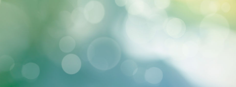 Spring background, green tree leaves on blurred background_bearbeitet_bearbeitet.jpg