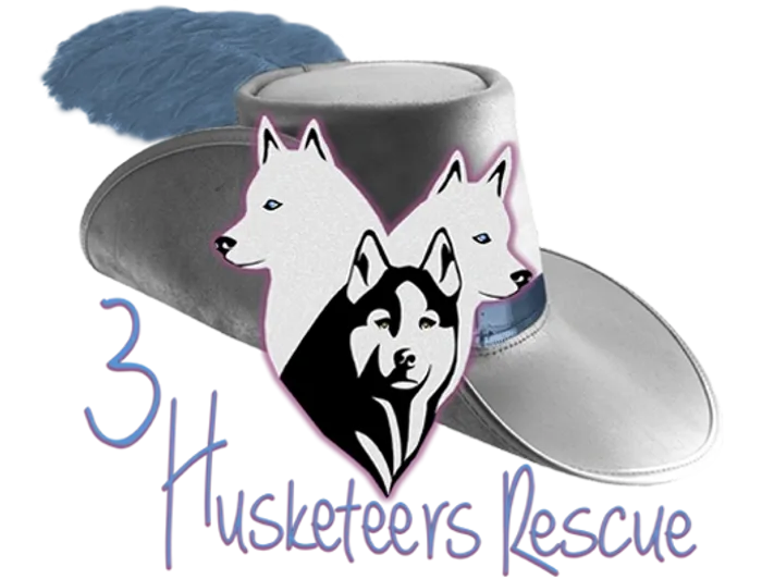 3husk.webp