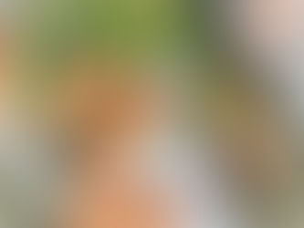 What's up with Nilotiqa?