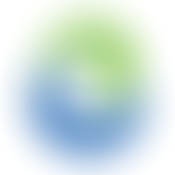 W&T Offshore, Inc. (WTI)