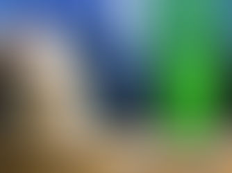 Navigating Penny Stock Signals: Learning From Successes And Failures