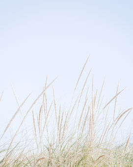 Coastal Photography-Beach-ocean swell-ocean waves-Westport- COASTAL PRINTS-DARTMOUTH-Ma-_05A1901 final 8x10.jpg