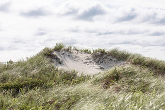 Coastal Photography-Beach-ocean swell-ocean waves-Westport- COASTAL PRINTS-DARTMOUTH-Ma-005A8432_2.jpg
