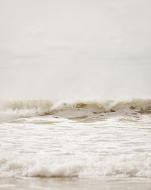 Coastal Photography-Horseneck-Beach- Westport-Ma. 005A9015_5 soft brown_1.JPG