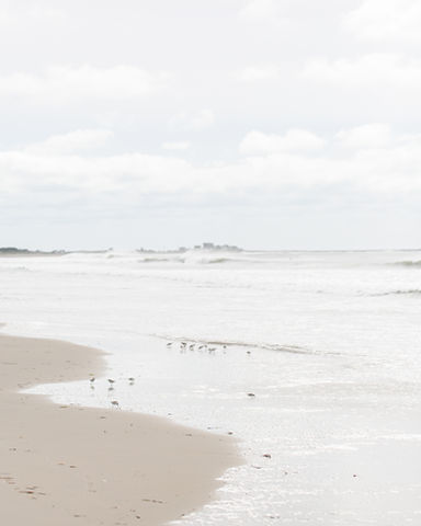 Coastal Photography-AIRY WHITES-Beach-HARBOR-NAUTICAL-SAILBOAT-ocean swell-ocean waves-Westport- COASTAL PRINTS-DARTMOUTH-Ma-PADANARAM-SOUTH DARTMOUTH-SALTMARSH-005A8870_5 piper fav.jpg