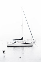 Coastal Photography-AIRY WHITES-Beach-HARBOR-NAUTICAL-SAILBOAT-ocean swell-ocean waves-Westport- COASTAL PRINTS-DARTMOUTH-Ma-PADANARAM-SOUTH DARTMOUTH-SALTMARSH-_05A5968++ 2.jpg