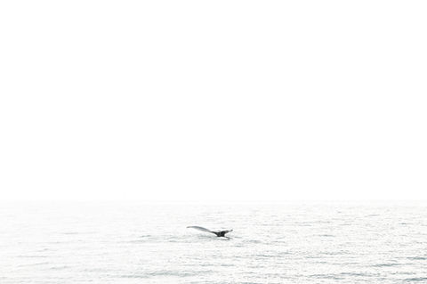  Coastal Photography -Michael T Morris - The Wash 13_2 - beach - coastal - seascapes - _05A0656 24x36 2 lighter++.jpg
