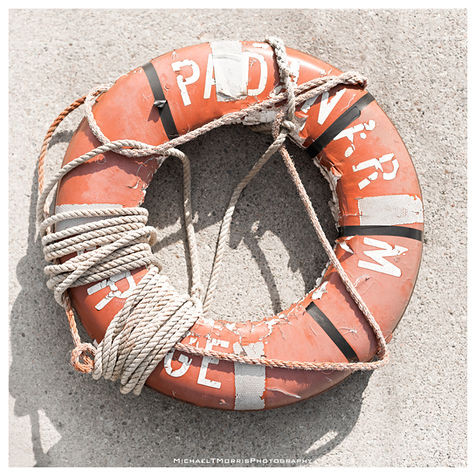 _05A1716-Pundy Saver Fin++ watermark 12x12.jpg