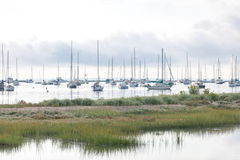 Coastal Photography-AIRY WHITES-Beach-HARBOR-NAUTICAL-SAILBOAT-ocean swell-ocean waves-Westport- COASTAL PRINTS-DARTMOUTH-Ma-PADANARAM-SOUTH DARTMOUTH-SALTMARSH-005A7139 sharp photo.jpg