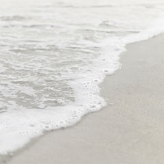 _05A7895.1 1x1 ratio.1 CLEAN 16x16++ no green.jpg
