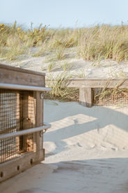 Coastal Photography-Horseneck-Beach- Westport-Ma. _05A0704_1_3.jpg