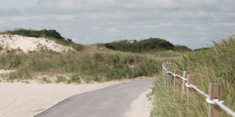 coastal prints Westport dunes neutral prints