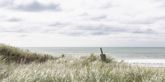 coastal prints Westport dunes neutral prints hurricane Lee