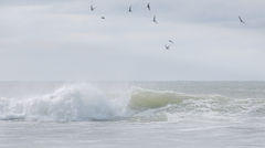 Coastal Photography-AIRY WHITES-Beach-HARBOR-NAUTICAL-SAILBOAT-ocean swell-ocean waves-Westport- COASTAL PRINTS-DARTMOUTH-Ma-PADANARAM-SOUTH DARTMOUTH-SALTMARSH-
