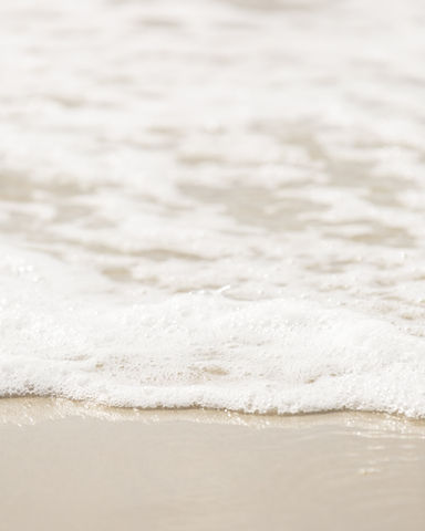 Coastal Photography-Horseneck-Beach- Westport-Ma. 005A9013_1 soft brown_1.JPG