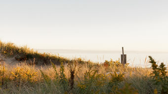 coastal prints Westport dunes neutral prints warmth