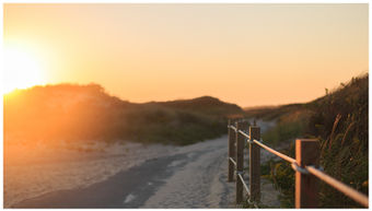 coastal prints Westport dunes neutral prints warmth