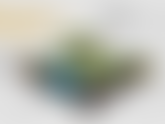 為什麼很多產品很愛添加棕櫚油？