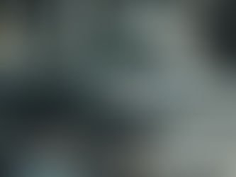 Patricia Kaiser’s Role in Shaping Company Values at Integrity Vehicle Solutions