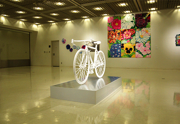 Aurora-Bicycle