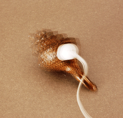 Shell vibe