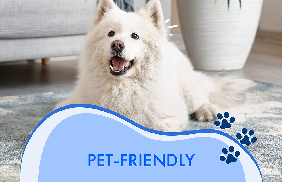 Yellow and Blue Cute Illustrative Pets Instagram Post (Card) (1).png