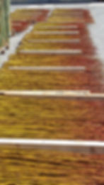 piccolella romana , massimo tuninetto, salici a seccare per intreccio, cesteria