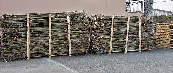 20160311 super salici_edited.jpg