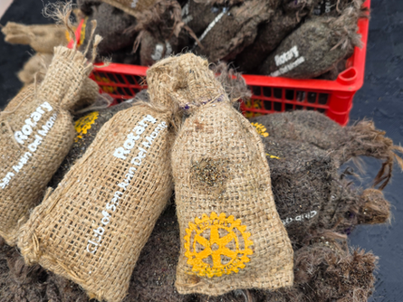 SEA OF LIFE - Restoring Coastal Health Through Seagrass Planting