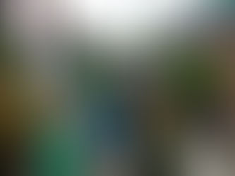 RC Luntiang Maynila Prime fights dengue through community action