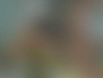 Project Blue Thumb Advances Rotary’s Commitment to Environmental Sustainability in Oslob