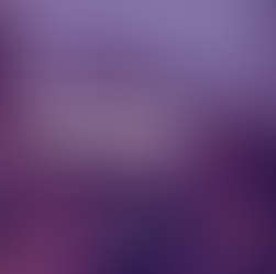 Dia Internacional dos Direitos Humanos